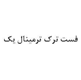 فست ترک ترمینال یک