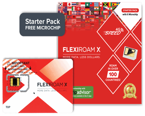 تراشه Flexiroam