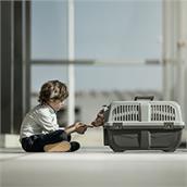 خدمات حیوان زنده PET