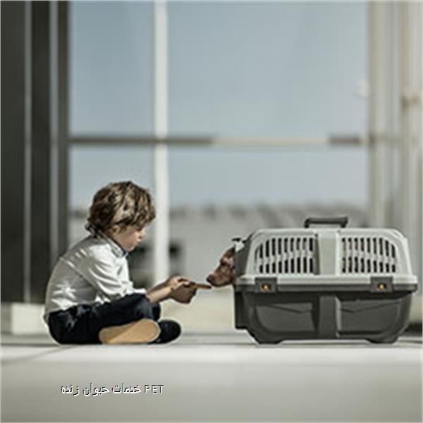 خدمات حیوان زنده PET