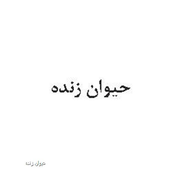 حیوان زنده